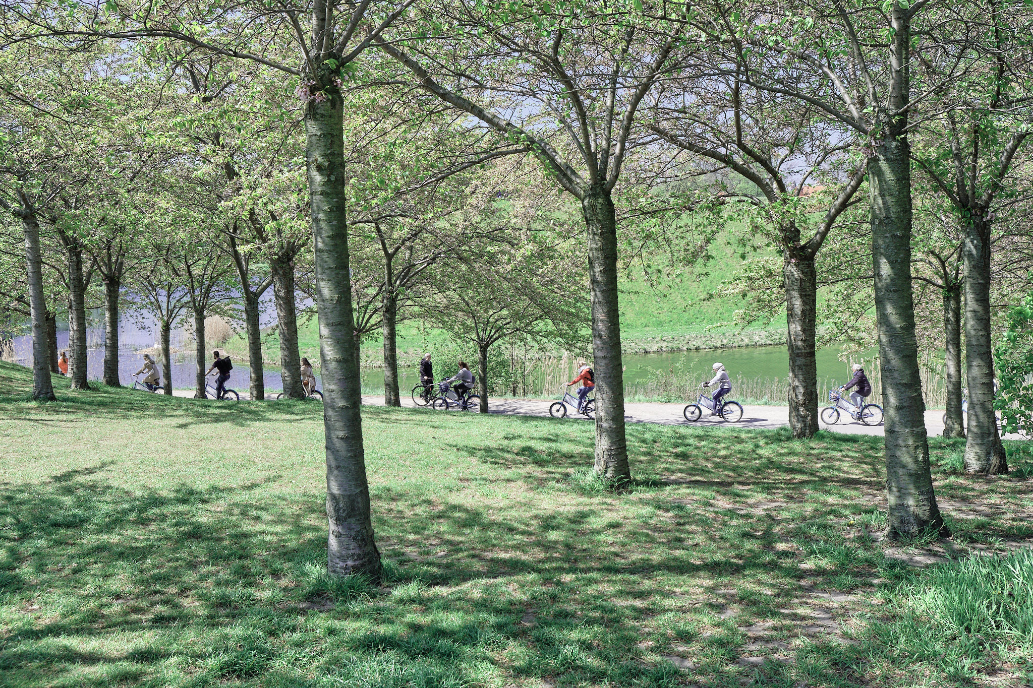 cykliste, fotograf, brno, jakub, sikula, kubousfoto, streetphoto