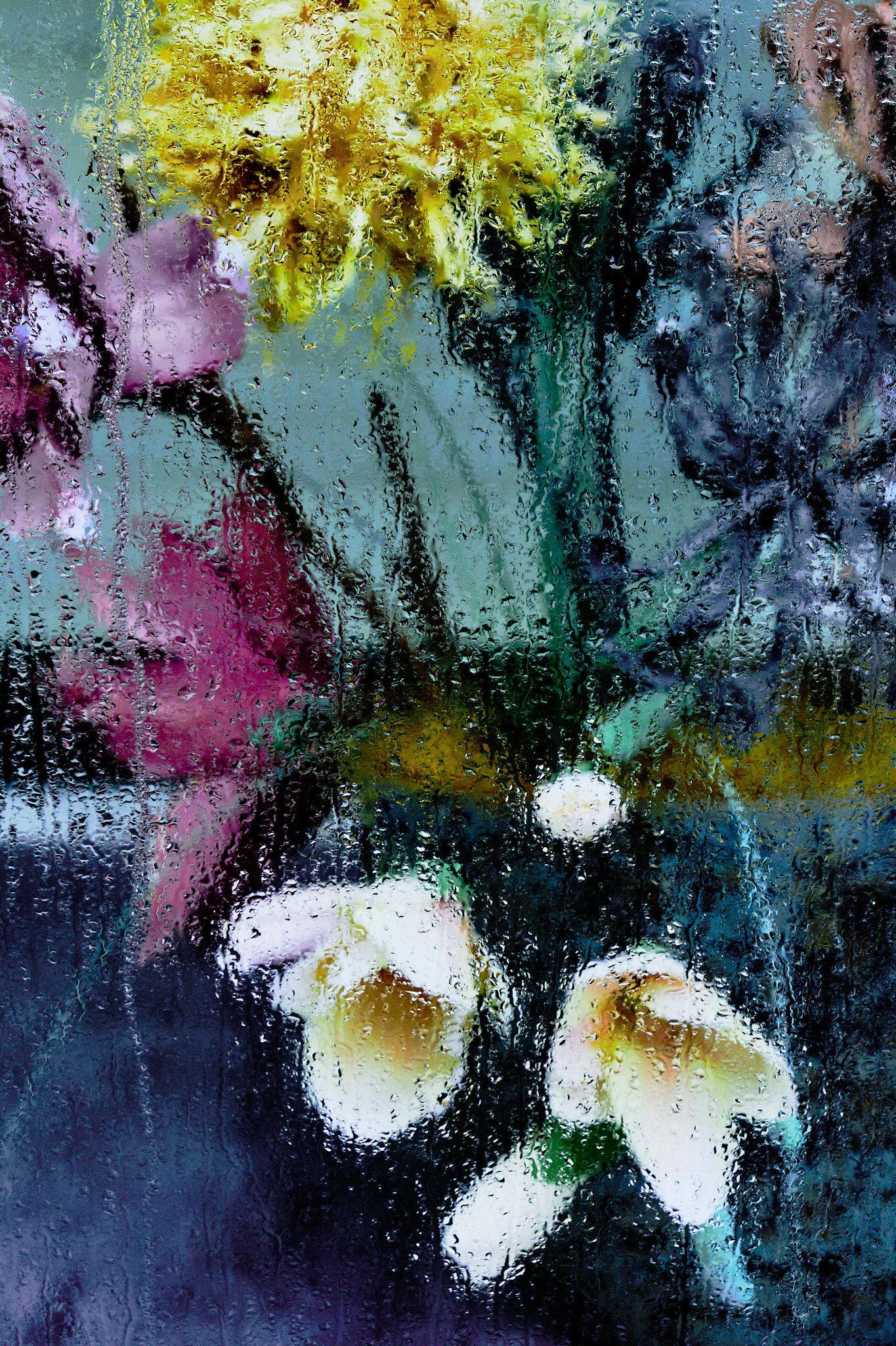 kvetiny za sklem, fotograf, brno, jakub, sikula, kubousfoto, stilllife