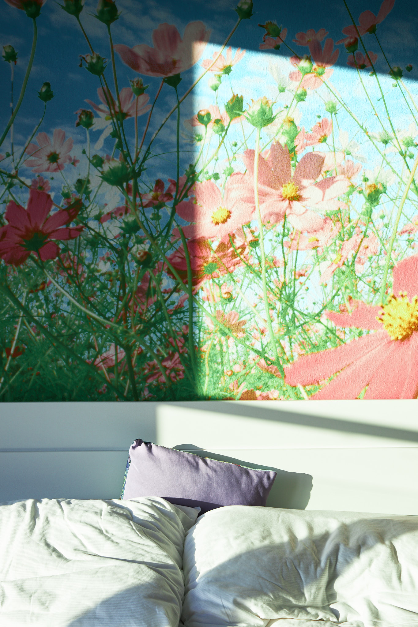 louka, fotograf, brno, jakub, sikula, kubousfoto, stilllife