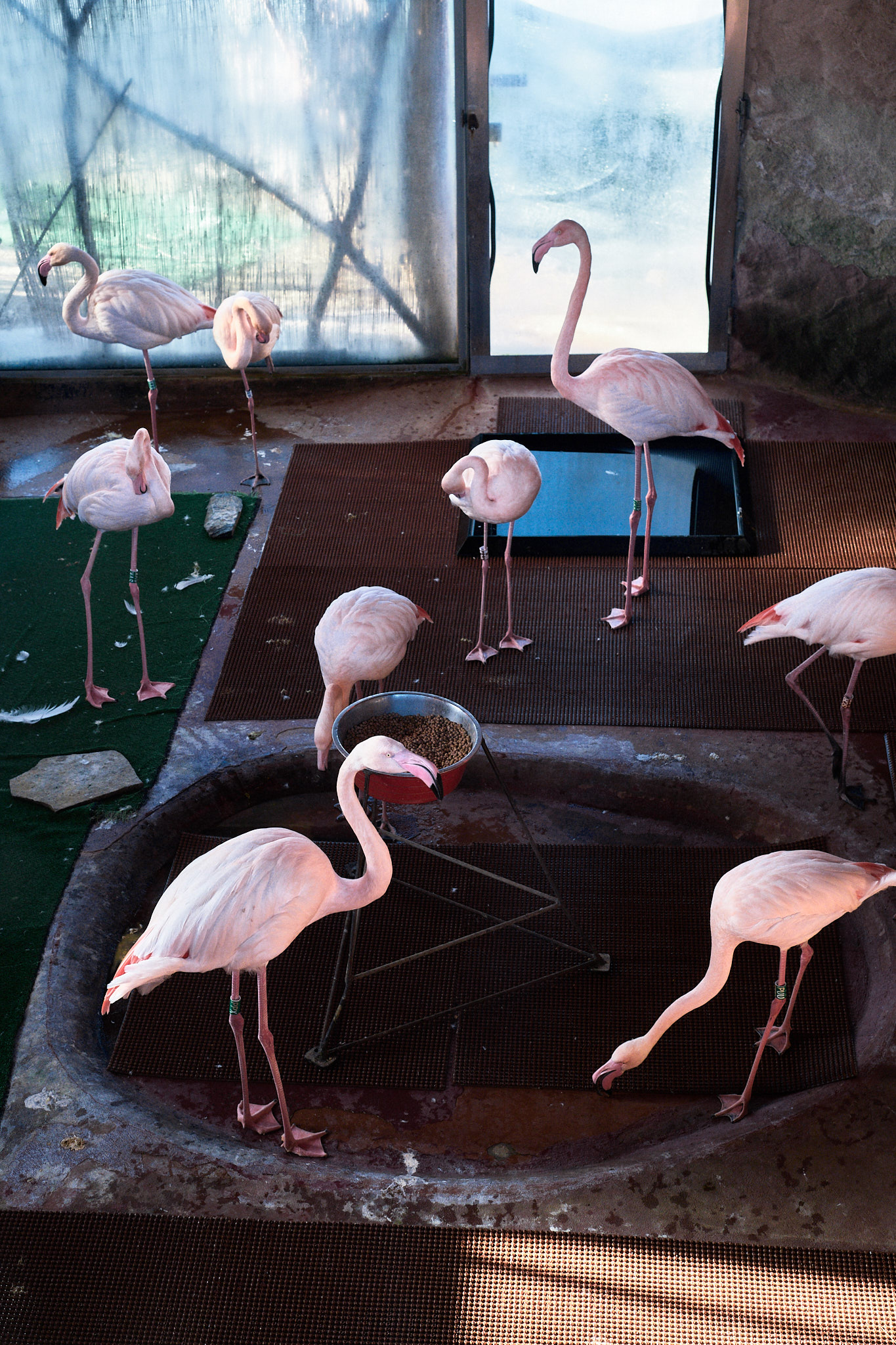 plamenaci, fotograf, brno, jakub, sikula, kubousfoto, stilllife