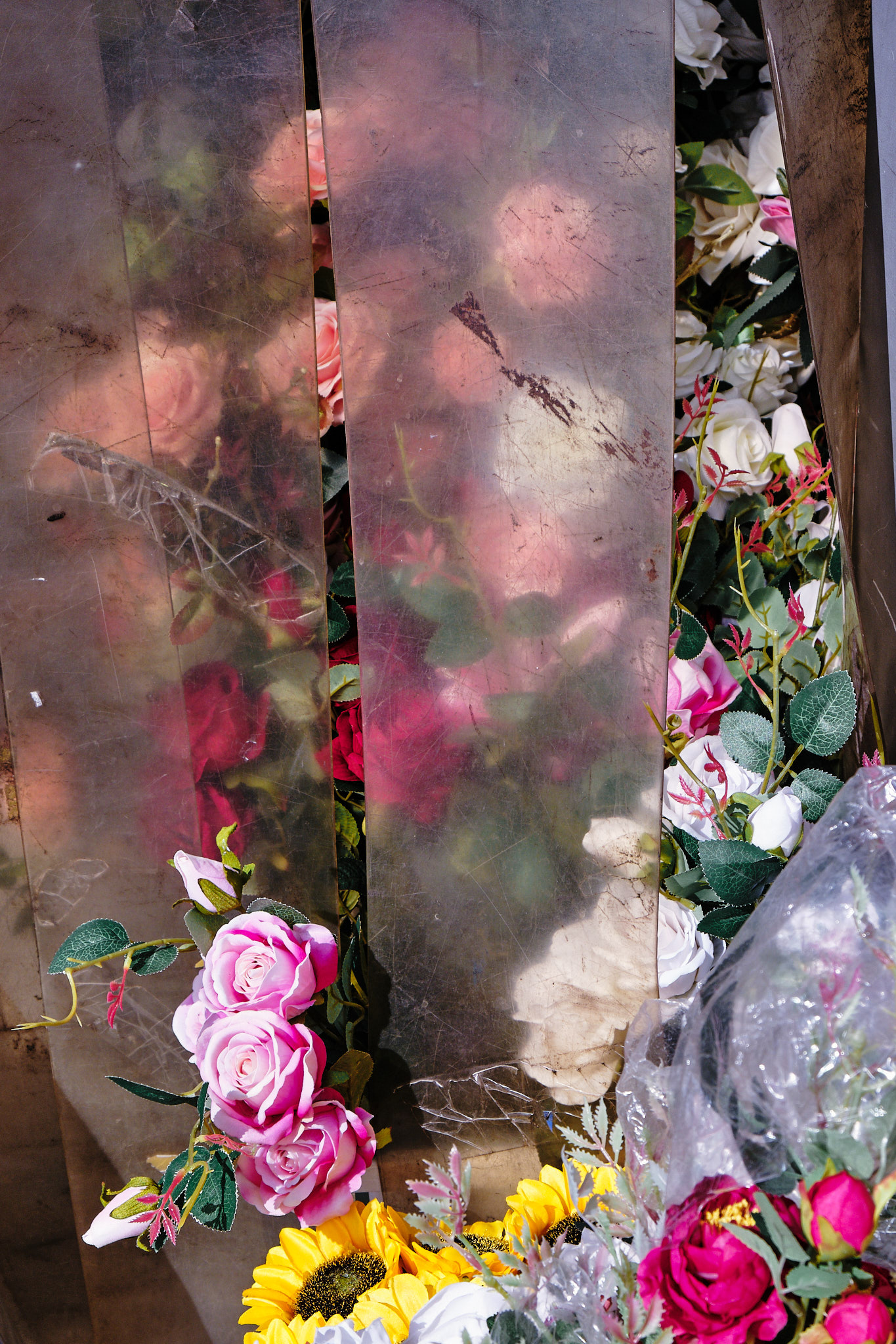 umele kvety, fotograf, brno, jakub, sikula, kubousfoto, stilllife