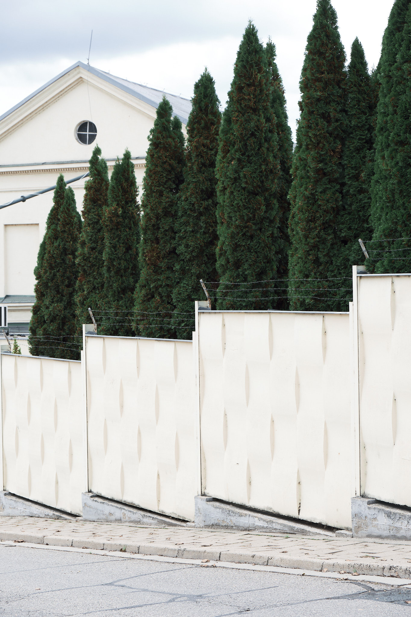 zed, stromy, fotograf, brno, jakub, sikula, kubousfoto, stilllife