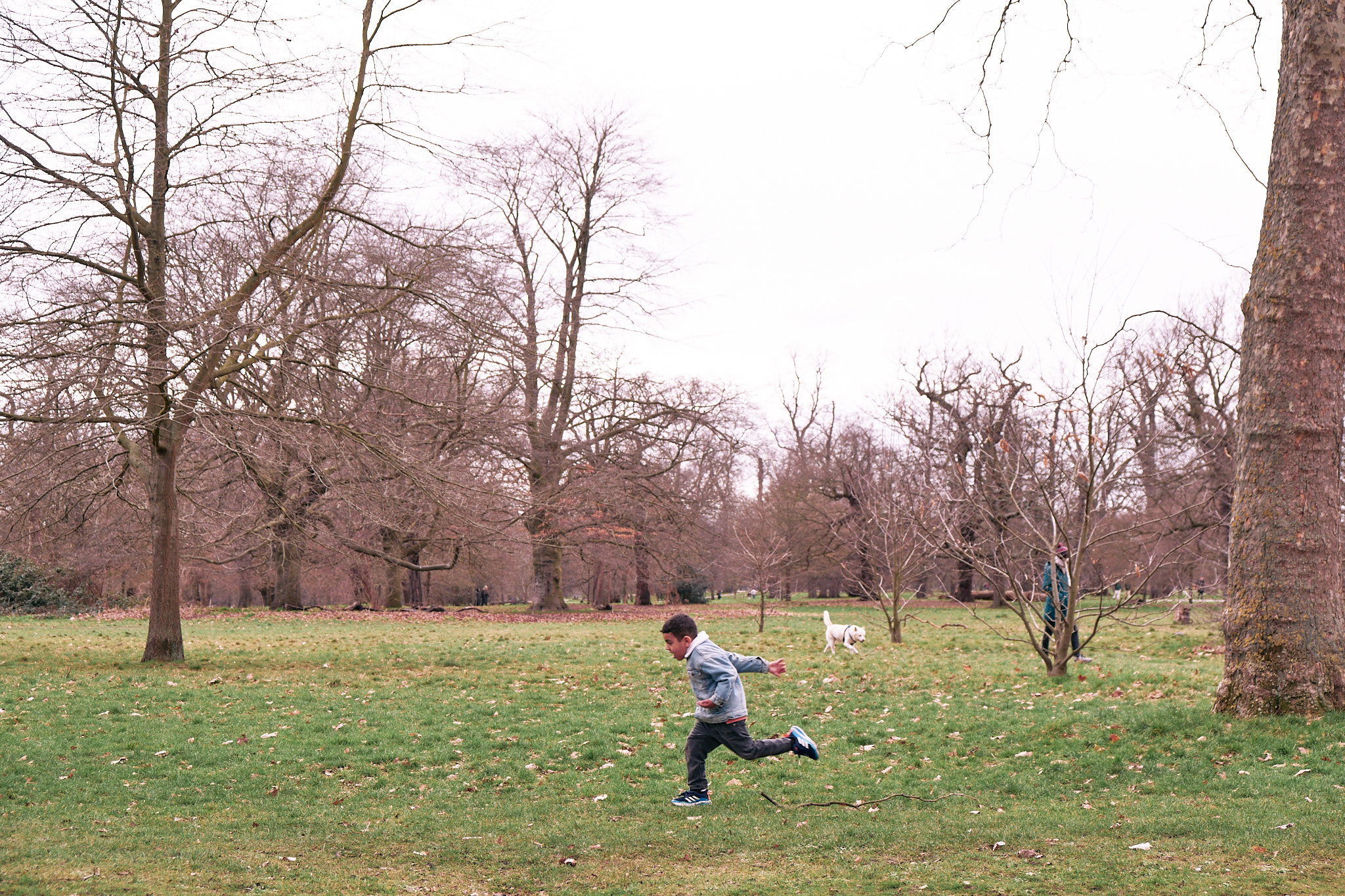 hyde park, fotograf, brno, jakub, sikula, kubousfoto, streetphoto