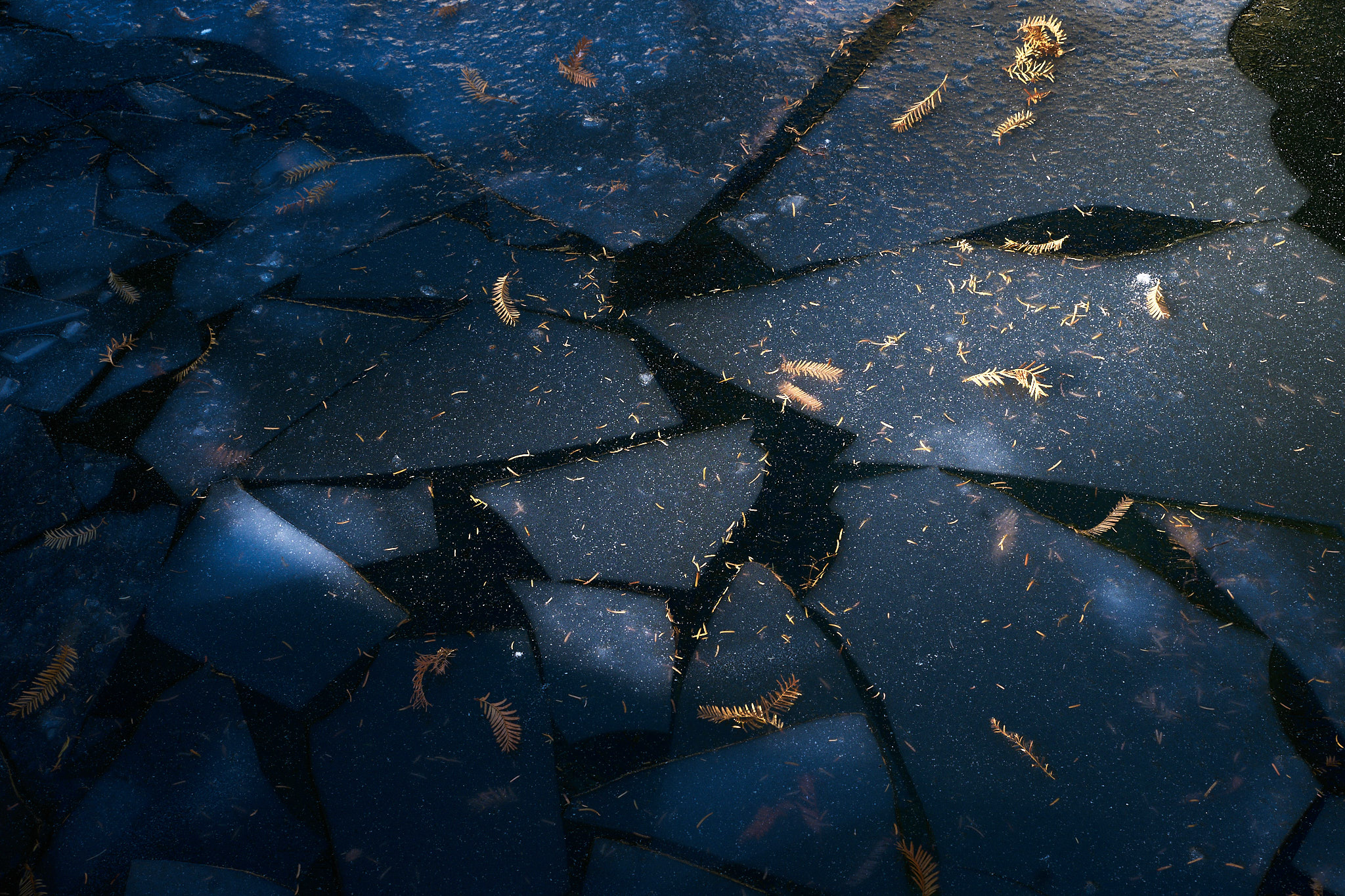 ledove kry, fotograf, brno, jakub, sikula, kubousfoto, stillness, stilllife