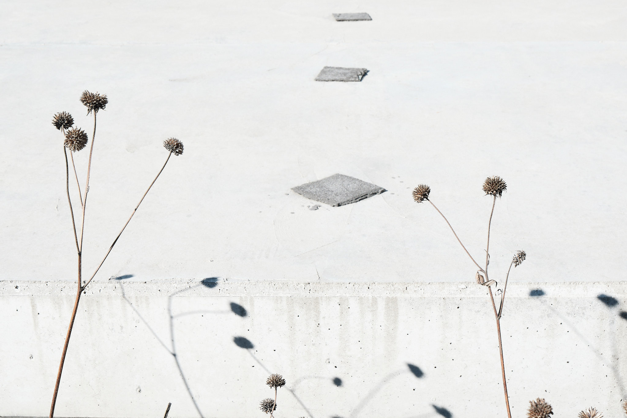 parkoviste, fotograf, brno, jakub, sikula, kubousfoto, stillness, stilllife