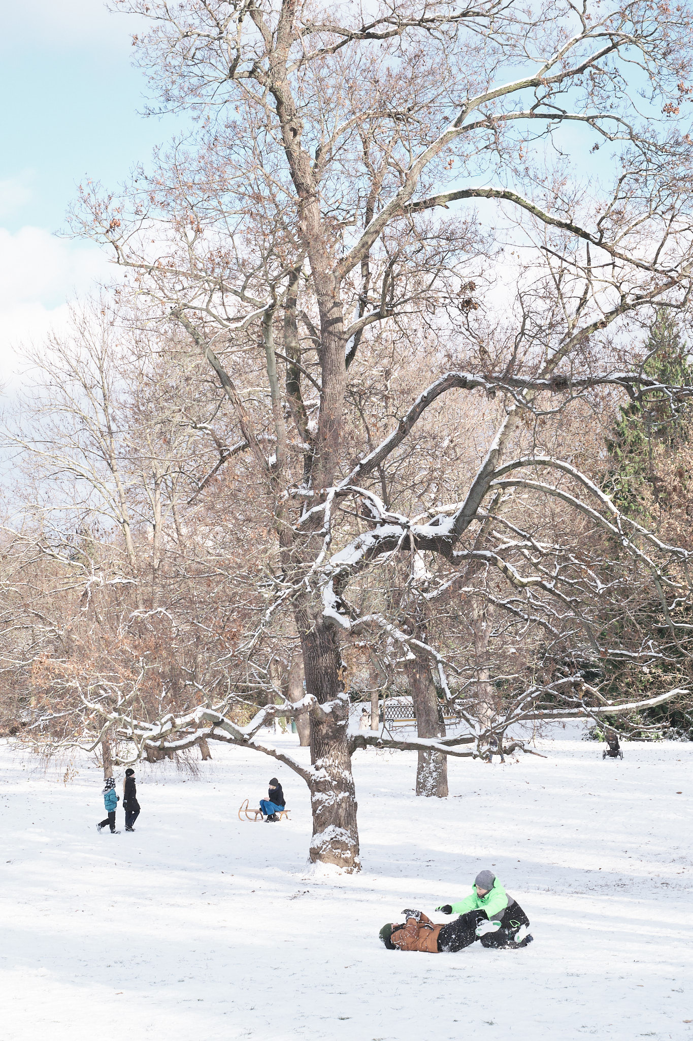 zima, fotograf, brno, jakub, sikula, kubousfoto, streetphoto